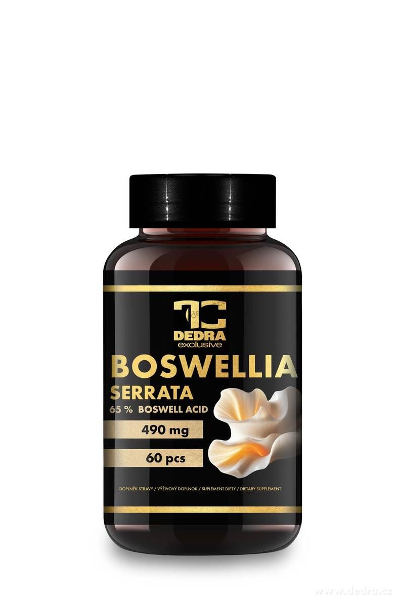 BOSWELLIA SERRATA 490 mg | standardizovaný extrakt (65 % kyseliny boswellové) na klouby | 60 kapslí